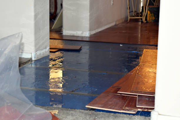 Professional Water Removal technician working in Decatur, MI